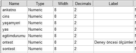 Veri Hazırlama 5 Yazılan etiket Deney öncesi ölçümler çıktı dosyasında bu biçimiyle görülür. Böylece girilen öntest verisinin neyi ifade ettiği açık biçimde belirtilmiş olur.