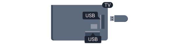 Bir yayını Internet'ten TV rehberi verileriyle birlikte kaydetmek istiyorsanız USB Sabit Sürücüyü kurmadan önce TV'nize Internet bağlantısı kurmanız gerekir.