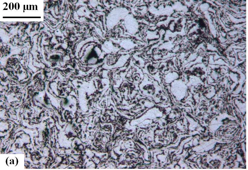 72 Resim 5.13, 5.14 ve 5.15 de 9,21 µm tane boyutuna sahip kompozitlerin mikroyapıları görülmektedir. Resim 5.13 ve 5.