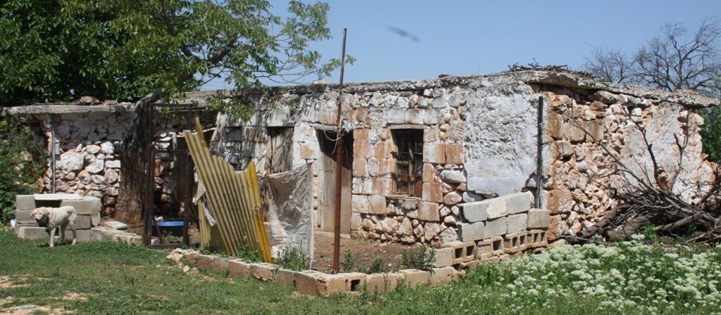 Gaziantep te Özelliklerini Yitiren Bir Geçici Yerleşme Şekli: Bağ Evleri / Mehmet Emin SÖNMEZ Fotoğraf 4. Bağ evlerinde hizmetli veya bekçilerin yaşadıkları yapı.