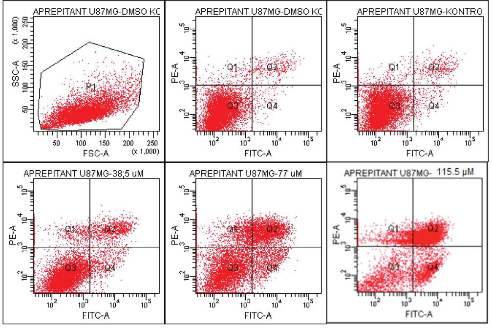 Marmara Pharm J 21: 156-164, 2017 Aprepitantın İnsan Glioblastoma U87MG Hücreleri üzerinde Antiproliferatif ve Apoptotik Etkileri 161 Akım Sitometride Annexin V-PI Yöntemi ile Apoptotik Etkinin