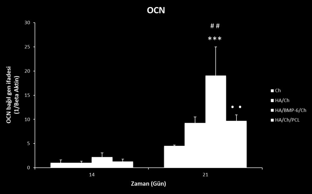 kitosana göre HA/Ch ve HA/Ch/PCL grubunda yaklaşık 3 kat, HA/BMP-6/Ch grubunda ise yaklaşık 4 kat fazla olduğu belirlenmiştir. Kaynak G. (2012) tarafından gerçekleştirilen çalışmada da 14.