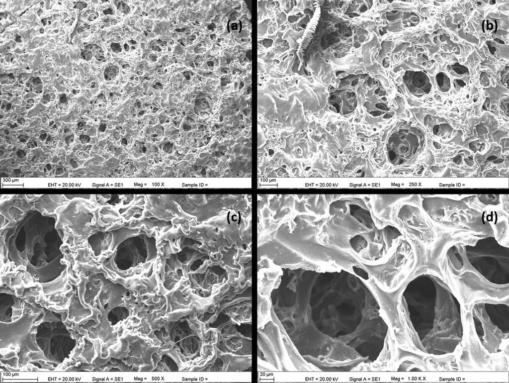 sonucunda açığa çıkan metabolik atıkların uzaklaştırılması açısından önem taşımaktadır.