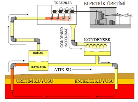 üretimi (Anonim, 2012d) 11