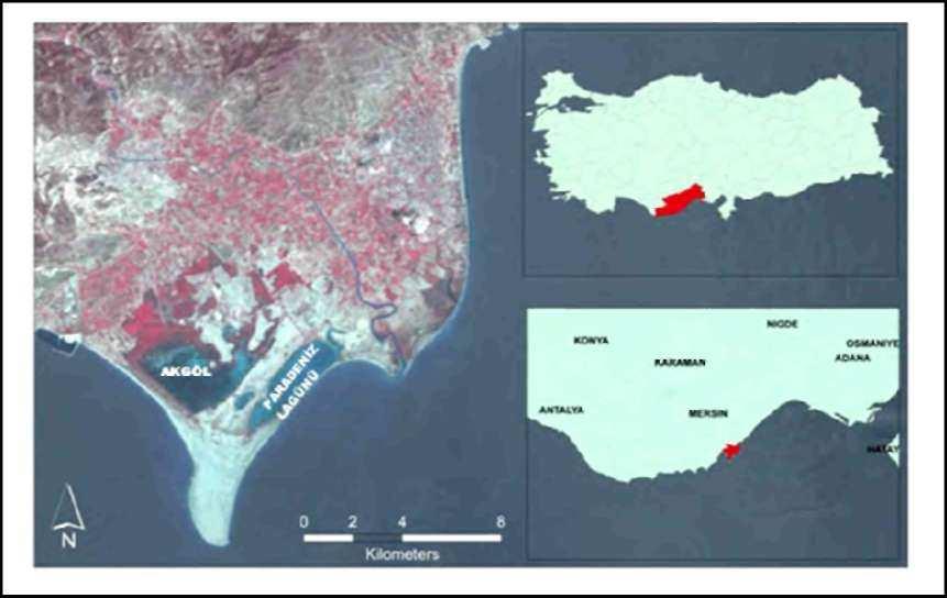 alınmıştır. Delta alanı 1989 yılında Yaban Hayatı Koruma Sahası (YHKS), 1991 yılında Özel Çevre Koruma Bölgesi (ÖÇKB), 1994 yılında Ramsar Alanı, 1996 yılında ise I.