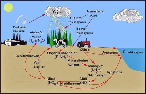 AB ÇEVRE POLİTİKASI NDA TEMEL UYGULAMA ALANLARI Nitrat Direktifi; hava, toprak, yeraltı ve yerüstü sularında azot kirliliğini önlemek amacıyla düzenlenmiştir.