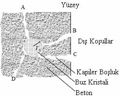 Teknolojik Araştırmalar: YTED 2005 (1) 37-44 Şekil-1.1. Betonun Gözeneğine Yerleşmiş Buz [4].