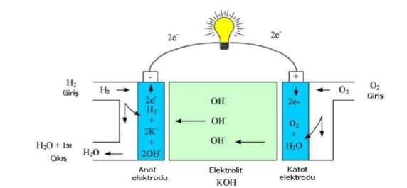 Anot Reaksiyonu: 2H 2 4H + +4e - (1) Katot Reaksiyonu: 4H + +4e - +1/2O 2 2H 2 O (2) Toplam Reaksiyon: 2H 2 +O 2 2H 2 O+Enerji [11] (3) Alkali Yakıt Pili (AFC): İlk olarak geliştirilen yakıt pilli ve