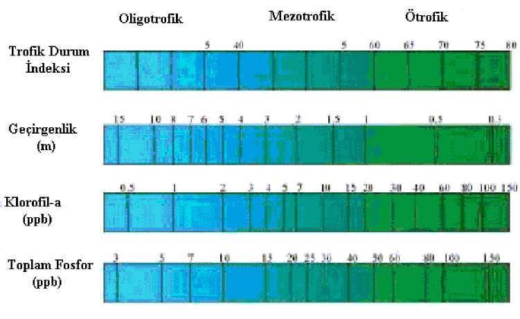 35 Çizelge 3.3 Trofik Sınıflandırma (http://www.epa.gov/bioindicators/aquatic/carlson.html).