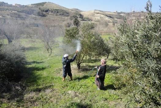 Yakın zamana kadar gıda güvenliği konusunu düzenleyen sistemler, güvenli olmayan gıdaların yasal tanımlarının yapılarak bu tanımlamaya uygun olmayan ürünlerin tespit edilmesi, uzaklaştırılması ve