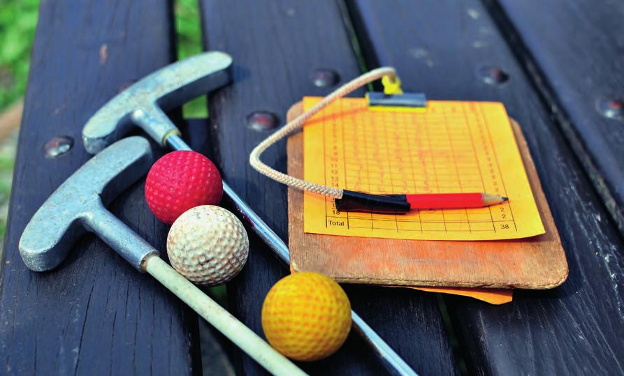 Mini Golf Kulüp No: F11 Hedef Kitle: İlkokul, ortaokul ve lise öğrencileri Açıklama: Yeni teknolojilerin kullanımı ile özellikle okullarda ve diğer eğitim kurumlarındaki iç ve dış mekanlarda, yeni