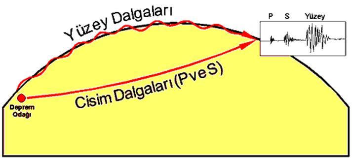 Ne yolluyoruz Dalgalar Çeşitleri Sismik çalışmalar açısından Cisim dalgaları P- dalgası ( Primer,