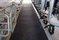 Yürüyüş & sağım alanları döşeme / beton zeminler KARERA P Temel basit ürün: beton zeminler üzerine basit ve sağlam kauçuk zemin kaplaması Her 5 cm genişlik farkı ile özel üretim Esnek ölçülerde