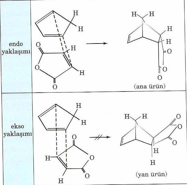 Uygun orbital etkileşimlerinden dolayı endo ürün için geçiş durumu daha düşük enerjilidir ve bu yüzden endo şekli, bu Diels-Alder tepkimesinin kinetik (ve ana) ürünüdür.