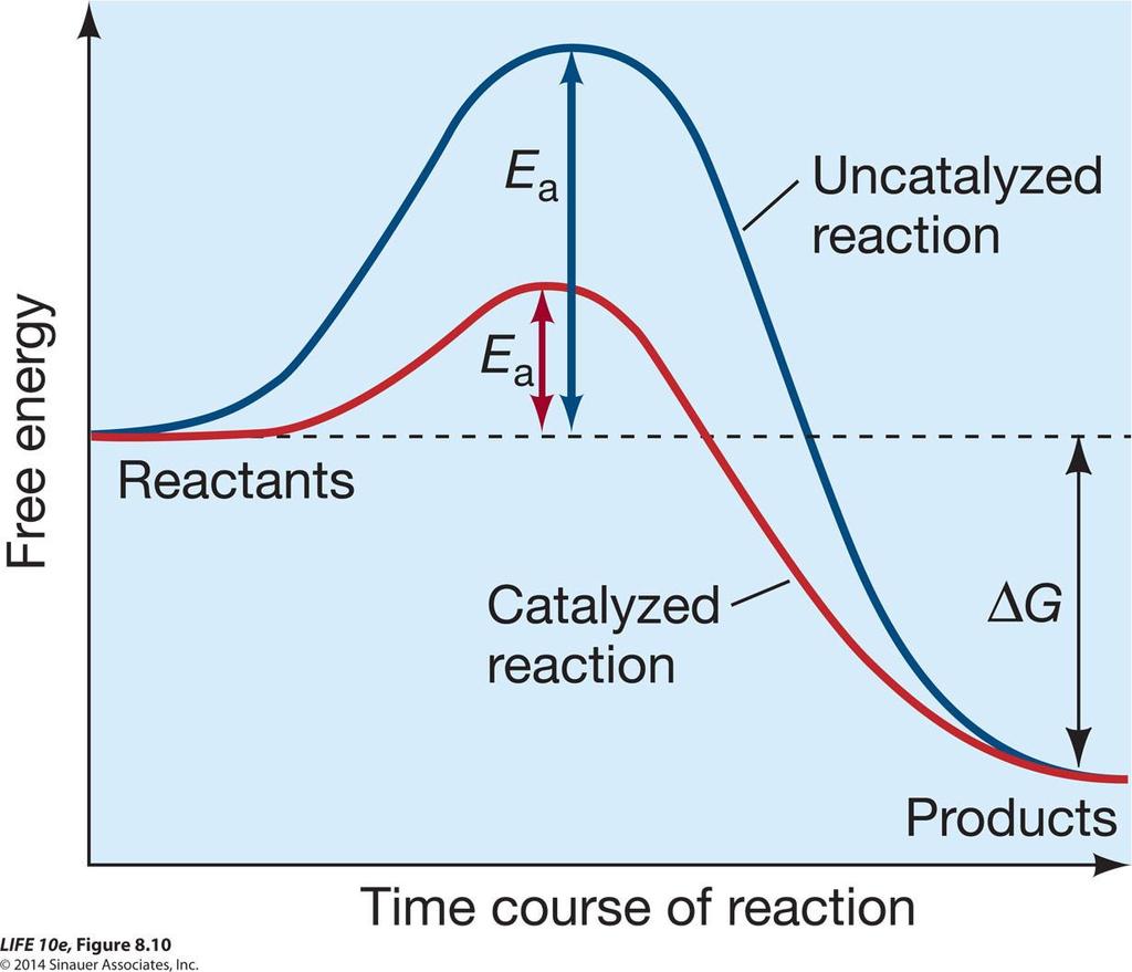 Figure 8.