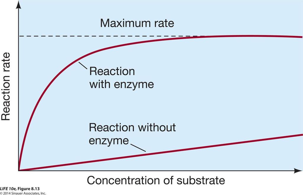 Figure 8.