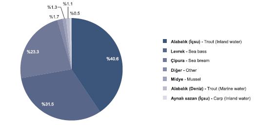 2 Şekil 1.1. 2005 yılı itibariyle Türkiye de yetiştiricilik üretiminin türlerine göre dağılımı (T.C. Başbakanlık Türkiye İstatistik Kurumu, 2007).