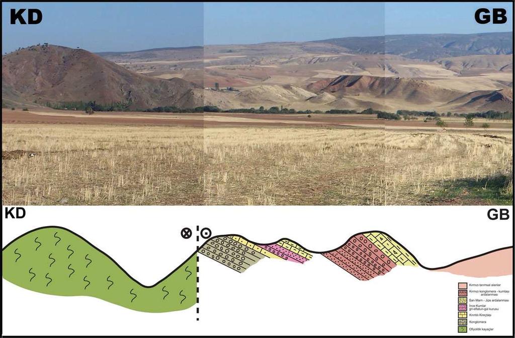 Şekil 1.6 Balaban havzasının genç çökel istifinin en iyi gözlendiği lokasyonun fotoğrafı ve KD-GB yönlü enine kesiti (G. Seyitoğlu yayınlanmamış veri) 1.2.