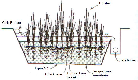 Şekil E2.