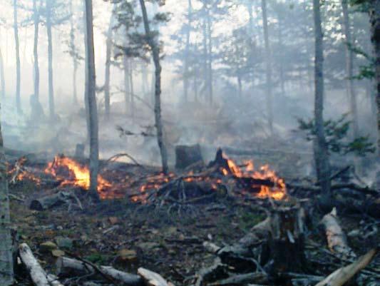 Zyrtarët fshehin shifrat, raportojnë të pavërteta Pyjet në rrezik, pas sëpatës vjen zjarri Nga Hasan Pasha Dibra, Mati e Bulqiza prej ditësh janë përfshirë nga zjarret.