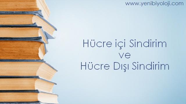 Hücre ç S nd r m ve Hücre Dışı S nd r m Yen B yoloj Eylül 18, 2017 >> OKUYUNCA ŞAŞIRACAKSINIZ: B yoloj Hakkında İlg nç B lg ler?