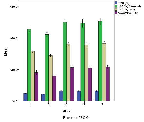 Şekil 11: Gruplara göre CD31, Ki 67