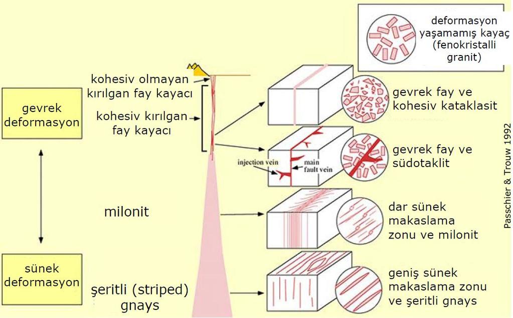 Derinlik ve dolayısıyla metamorfizma