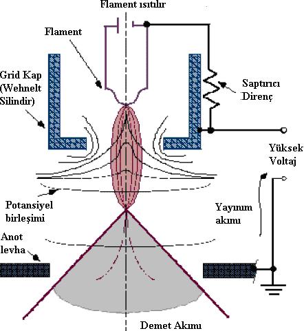 5 termoiyonik tabanca Termiyonik tabanca, elektronların oluģturulduğu katot, elektronları odaklayan Wehnelt silindiri ve anottan oluģmaktadır.