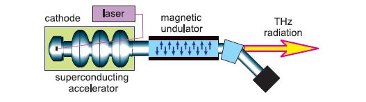 64 THZ radiation from FEL s and its potential for cell and tissue studies (2002) (HZDR SEL-Almanya) THz bölge FAR-IR bölgeyi de içine almaktadır.