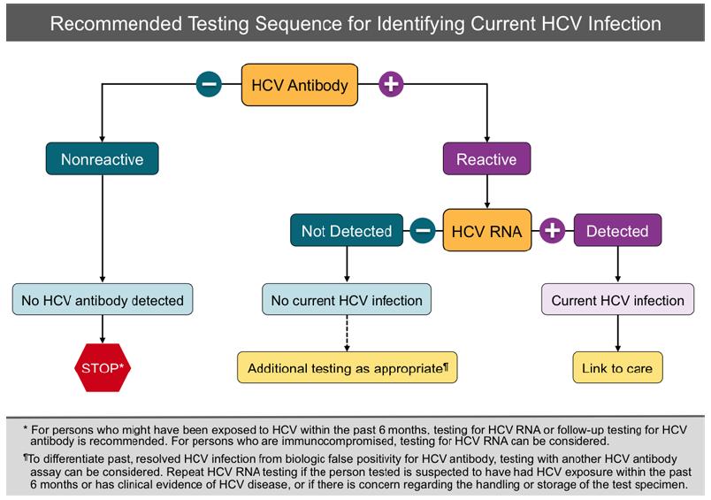 HCV Enfeksiyonunu