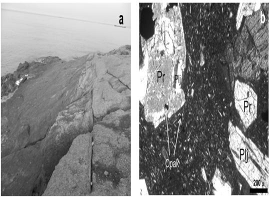 Şekil 3. a)garipçe Piroksenli Andezitinin inceleme alanının İstanbul Boğazı na kıyı bölgesinde görülen yüzleği,b) polarizan mikroskop altındaki görünümü(çapraz ışık 10, Plj; plajioklas, Pr; piroksen).