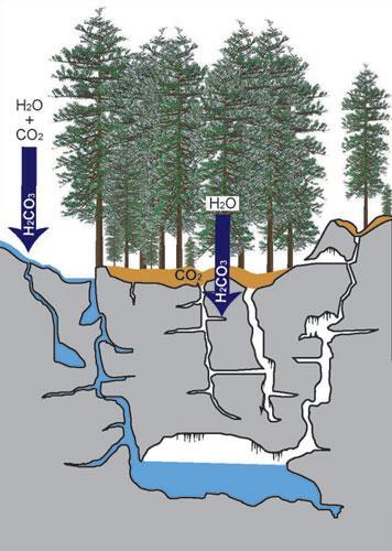 Şekil 2.4. Yağış suyu, atmosfer ve topraktaki karbondioksitle karışarak, kireçtaşının çözünmesine yol açan karbonik asidi (H 2 CO 3 ) oluşturur [27].