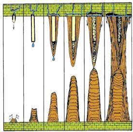 Sarkıt, mağaraya sızarak gelen suyun ilk oluşturduğu çökeldir. Çatlaklardan gelerek tavandan damlayan bu suyun bileşiminde bulunan karbondioksit serbest hale geçerken karbonat çökelimi olur.