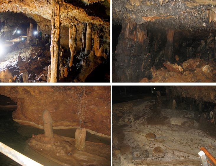 Şekil 3.2. İncesu Mağarası ndaki sarkıt, dikit ve traverten havuzu görüntüleri 3.1.2. İncikini Mağarası İncikini Mağarası, Karaman İli, Ayrancı İlçesi'nin 20 km güneydoğusunda, Güney Dağı'nın güney eteğindedir.