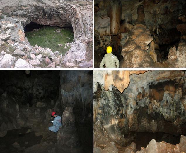 Şekil 3.3. İncikini Mağarası na ait giriş, sarkıt, dikit, sütun ve su birikintisi görüntüleri 3.1.3. Damlataş Mağarası Damlataş Mağarası, Karaman'ın 15 km batısında, Konya yolu kenarında bulunan Yollarbaşı (Yeşiltepe) Kasabası'nın 4 km güneyinde bir etek düzlüğü üzerinde yer alır.