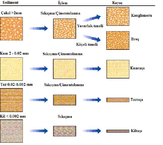 KIRINTI TORTULLAR Taşlaşma -Sedimentlerin tortul kayaçlara dönüşümü Sıkışma Sedimentler arasındaki boşlukların ve hacmin