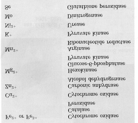 Bugün, binlerce enzim saflaştırılmış ve bunların yüzlercesinin yapısı ve kimyasal mekanizması aydınlatılmıştır.