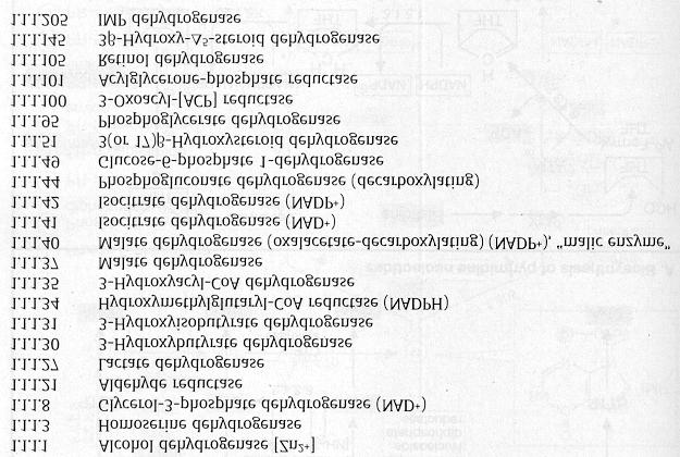 ATP:glukoz fosfotransferazın kod numarası (EC numarası) 2.7.1.1 dir.