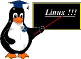 Linux İşletim Sistemi GNU/Linux, Linux