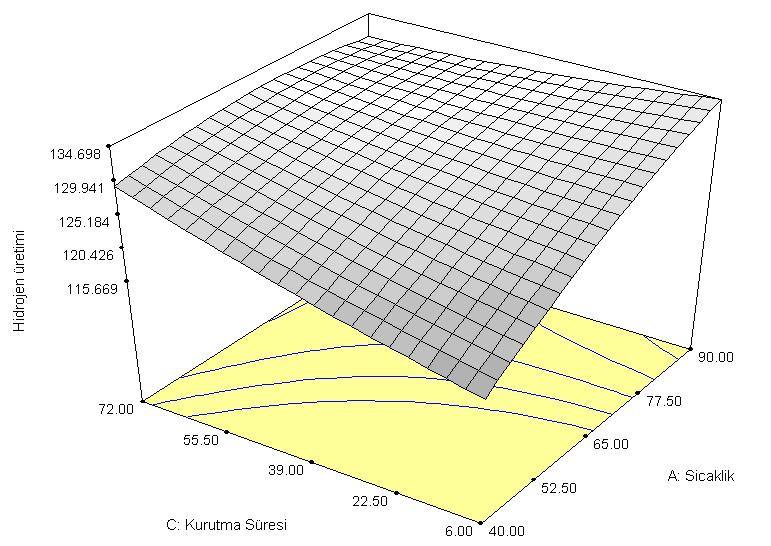 Şekil 5.39. Hidrojen üretim hızının, sıcaklık ve kurutma süresi ile değişimini veren 3 boyutlu yüzey eğrileri (ph 10, altın yüzdesi %50) Şekil 5.