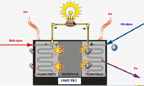 Pili (DMYP) DMYP ise kullanılan elektrolit türü ile PEYP e benzemekle birlikte yakıt metanolün yakıt dönüştürücü gerekmeksizin doğrudan kullanımı nedeniyle farklıdır (Şekil 1.4.). Bu nedenle daha az karmaşık, daha hafif ve daha ucuzdur.