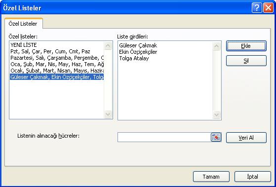 Bu dizilerin Excel tarafından otomatik olarak doldurulmasının nedeni özel liste olarak tanımlı olmalarıdır.