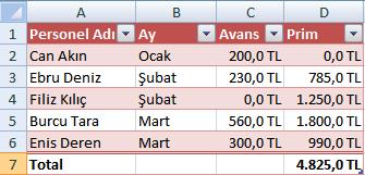 Örneğin, yukarıdaki gibi bir tabloda Şubat ayına ait kayıtların gösterilmesi isteniyorsa Ay alanının yanındaki oka tıklayıp sadece Şubat ayını işaretlemek gerekir.