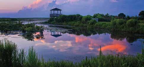 kampüsünde yer alır. McNeese State University; Louisiana nın en hızlı büyüyen şehirlerinden biri olan, güvenli topluluk Lake Charles da bulunur.