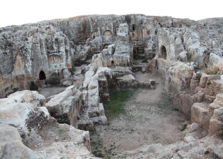 İlimiz Merkez Örenli Mahallesinde bulunmaktadır.