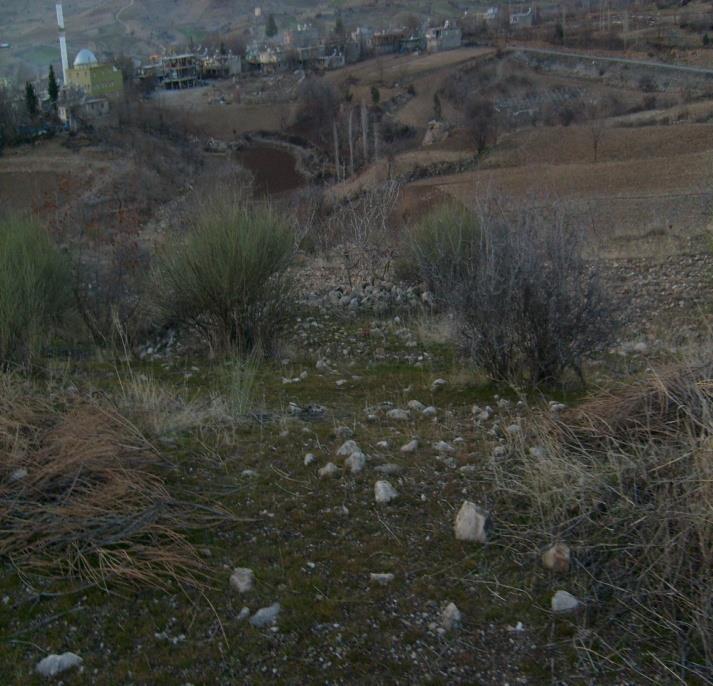 Tut İlçesi Yaylımlı Köyünün doğusunda Dokuz Mağara denilen mevkide bulunmaktadır.