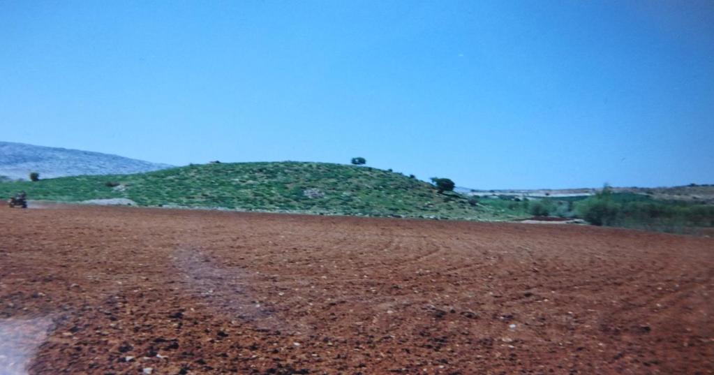 ORİJİNAL KUL. HÖYÜK TÜRÜ ARKEOLOJİK DERECE YUKARI SÖĞÜTLÜ KÖYÜ - BESNİ / ADIYAMAN İlimiz Besni İlçesi Yukarı Söğütlü köyünde bulunmaktadır. Köy yerleşiminin 5 km kuzeydoğusunda yer almaktadır.