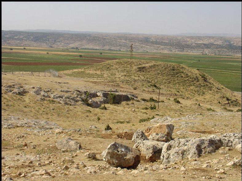 İlimiz Besni ilçesi Aşağı Söğütlü Köyü sınırları içerisindedir. Aşağı Söğütlü Köyü ile Çakır Höyük karayolunun yanında yer alan höyük yaklaşık 10 m. yüksekliğe sahiptir.