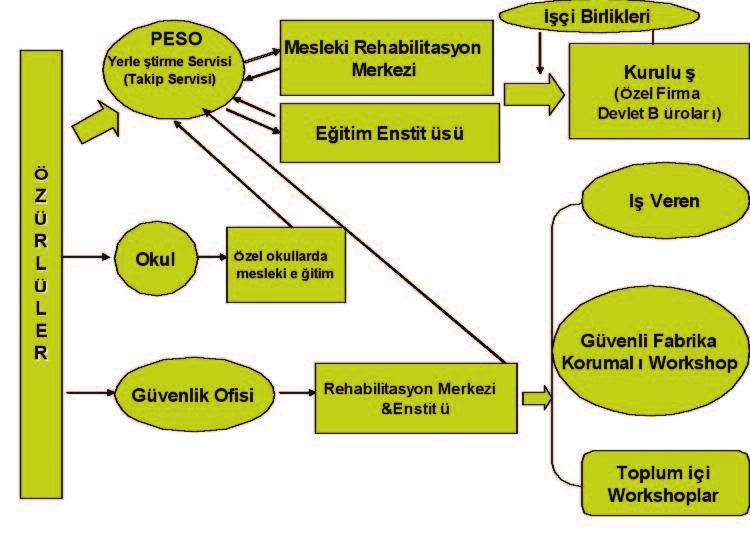 fonksiyonel performans ve çalışma kapasitesi,psikolojik performans, ilgi, yetenek, zeka durumu, özüre reaksiyonu, aile ilişkileri,mesleki beceri seviyesinin ve işe yeteneklerinin değerlendirilmesi.