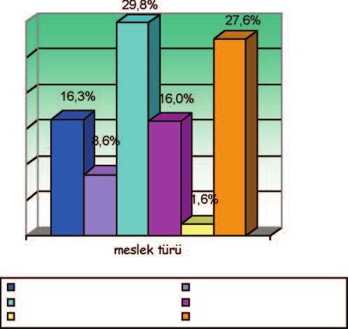 Özürlü Bireylerin Bir Mesleğe Sahip Olma Durumu Evet Hayır Özürlü bireylerin büyük bir oranı meslek sahibi olduklarını belirtmişlerdir (%70.58).